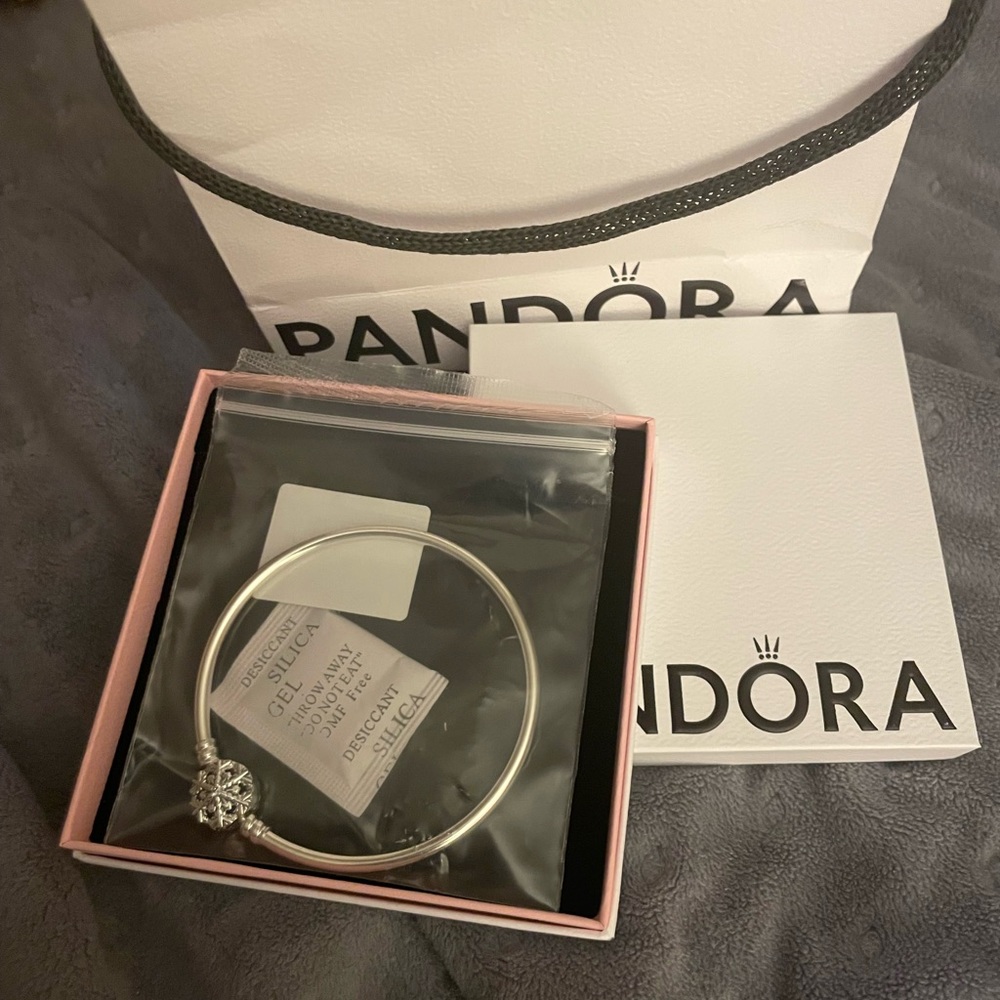 Silver Pandora bracelet